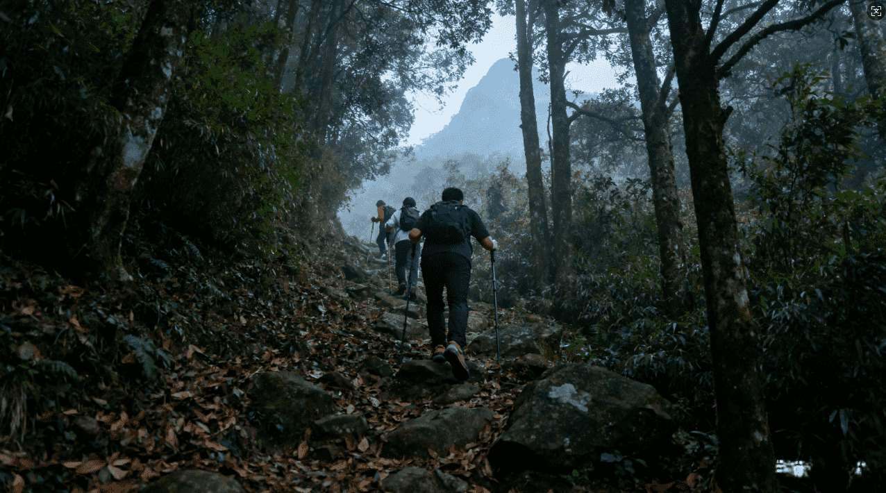 萤火虫VPN免费版靠谱吗？安全性分析与功能全面介绍